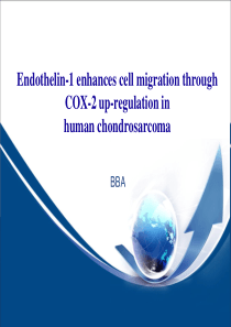 ET-1和COX-2在软骨肉瘤细胞中的高表达致细胞迁移-百替生物.pptx