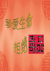 班会(禁毒专题)