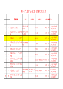 煤矿颁证情况统计表