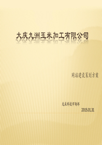 大庆九洲玉米加工有限公司网站策划方案