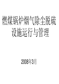 燃煤锅炉烟气除尘脱硫设施运行与管理XXXX