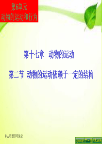 第二节   动物的运动依赖于一定的结构