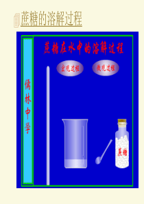 蔗糖的溶解过程