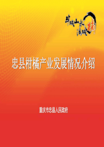 忠县柑橘产业发展情况介绍PPT(定稿) (1)