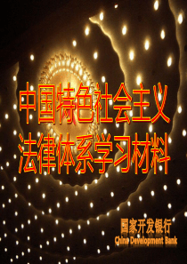 23“中国特色社会主义法律体系”PPT宣传学习材料