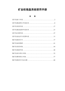 矿业权报盘系统使用手册