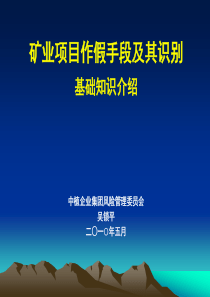 矿业项目作假及其识别