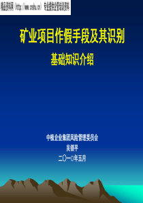 矿业项目作假手段及其识别基础知识介绍(PPT36页)