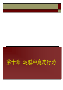 生理心理学第十章 运动和意志行为