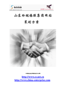 山东玲珑橡胶集团网站策划方案