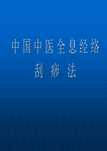 1中国中医全息经络