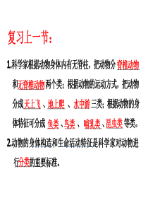 45教科版科学六上《相貌各异的我们》