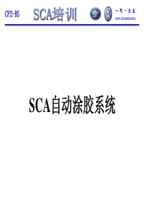 SCA涂胶泵机资料