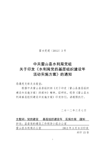 雷山县水利局党的基层组织建设年活动实施方案(正稿)