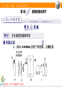 2012专题五3 生命活动调节  植物激素调节