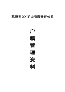 矿山企业概况表