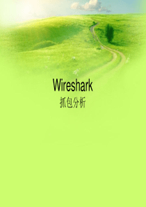 Wireshark抓包分析