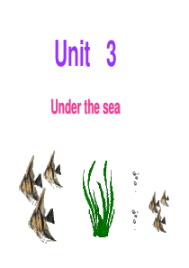 选修7unit3-under-the-sea--reading