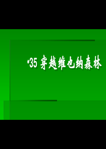 35穿越维也纳森林解析