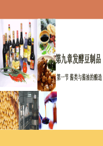 第九章发酵豆制品