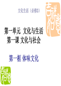 文化与生活第一课文化与社会第一框体味文化