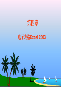 第四章 电子表格软件Excel 2003