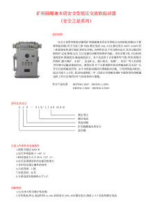 矿用隔爆兼本质安全型低压交流软起动器（安全之星系列）