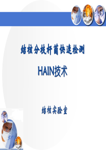 hain说明12.20