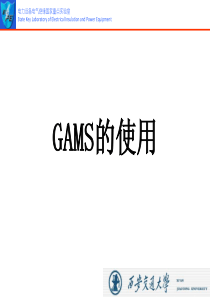 GAMS程序的使用