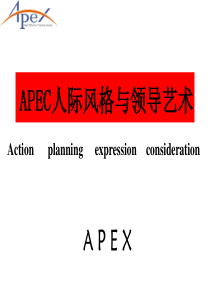 人际风格(APEX)