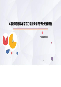 中国情感与家庭心理服务消费行业发展报告_图文.ppt