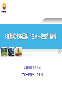 HSE标准化示范队“三标一规范”建设--课件