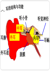 7、《保护我们的听力》