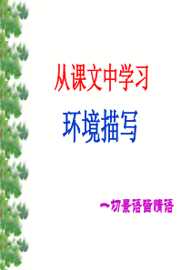 从课文中学习环境描写