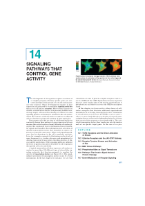 Chapter 14 Signaling Pathways that Control Gene Ac