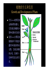 第三章-水分生理和矿物质)