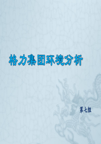 格力集团环境分析