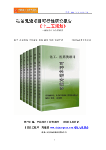 硅油乳液项目可行性研究报告立项范文格式