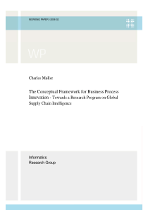 The Conceptual Framework for Business Process Inno