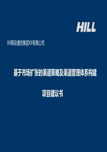 基于市场扩张的渠道策略及渠道管理体系构建项目建议书