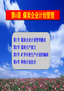 第六章煤炭企业计划管理