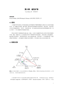 第六章磁性矿物