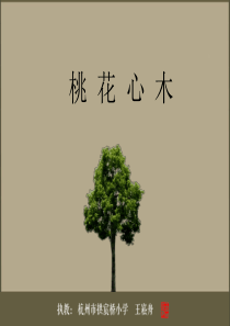 王崧舟 桃花心木.pptx