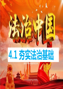 4.1夯实法治基石