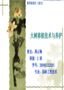 大树移植技术与养护