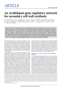 An Arabidopsis gene regulatory network for seconda