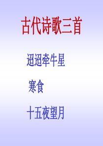 最新部编六年级下册第四课古诗三首课件