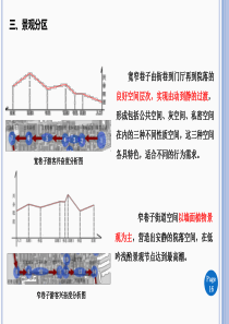 2成都宽窄巷子案例分析及项目总结