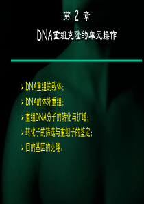 DNA重组克隆的单元操作