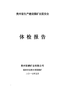 茶园煤矿全面安全体检报告20173